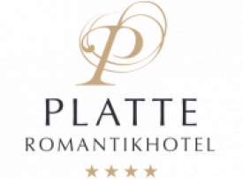 Platte Logo 19 Regular